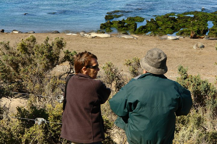 Shore Excursion Peninsula Valdes/Punta Tombo - Bus Puerto Madryn - Photo 1 of 9