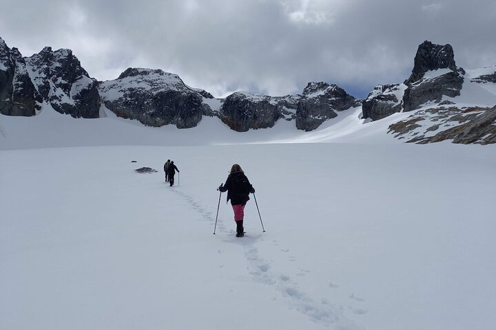 Small group Trekking to Ojo del Albino Glacier - Photo 1 of 7