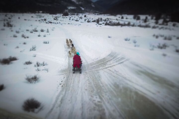Adventure Under Zero from Ushuaia - Photo 1 of 25