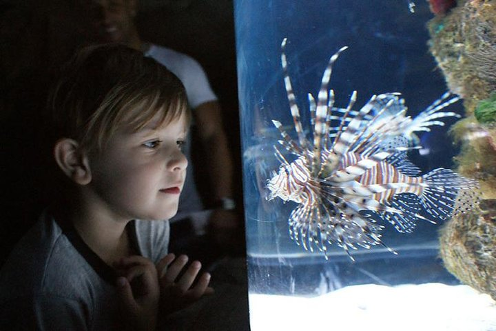 Temaiken Biopark Buenos Aires Tour - Photo 1 of 12