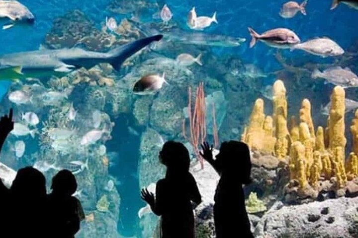 Temaiken Biopark Tour with Transfer Included - Photo 1 of 7