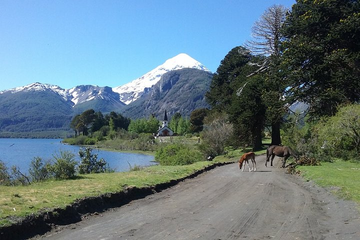 Tour of the Lanin Volcano and Huechulafquen Lake - Photo 1 of 7