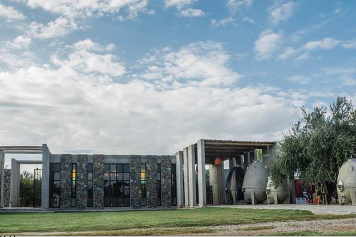 Trapiche and Lunch The Enemy (Michelin) + Private transportation  - Photo 1 of 9