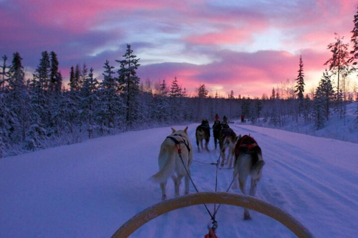 Ushuaia at night: A Snow and Fire dinner, sledding and adventure - Photo 1 of 12