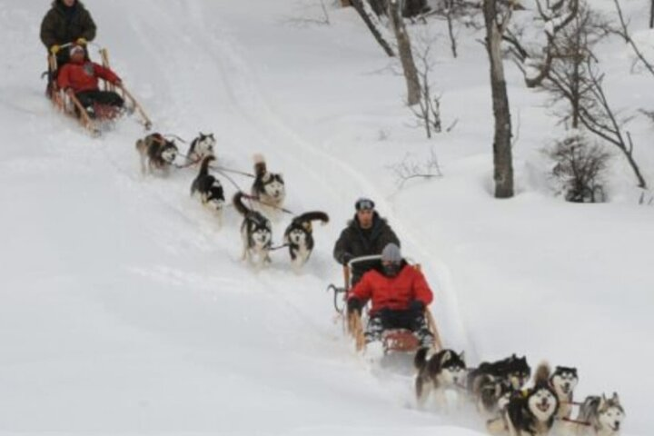 Ushuaia: White Adventure in sleighs with Huskys - Photo 1 of 9