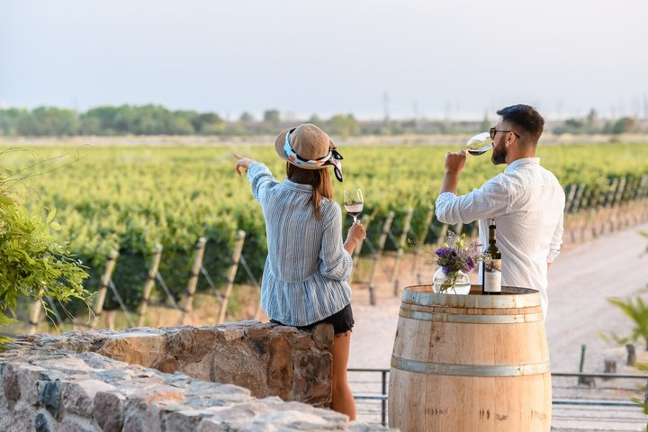 Vineyards Tour in Mendoza: Wine & Olive Oil Tasting Experience - Photo 1 of 23
