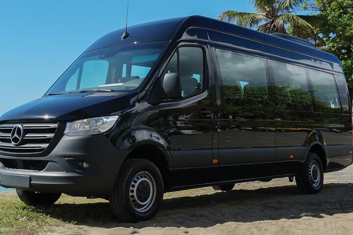 Arrival by Private Minibus from Vienna Airport VIE to Vienna City - Photo 1 of 6