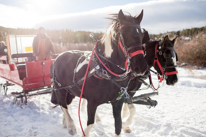 Christmas Horse-Drawn Sleigh/Carriage Ride from Salzburg - Photo 1 of 11