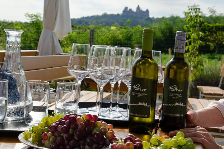 Wine tasting in the vineyard