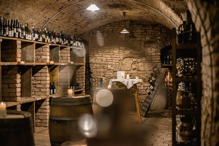 Hidden Wine Cellars Vienna - on the tracks of the Viennese wines - Photo 1 of 10