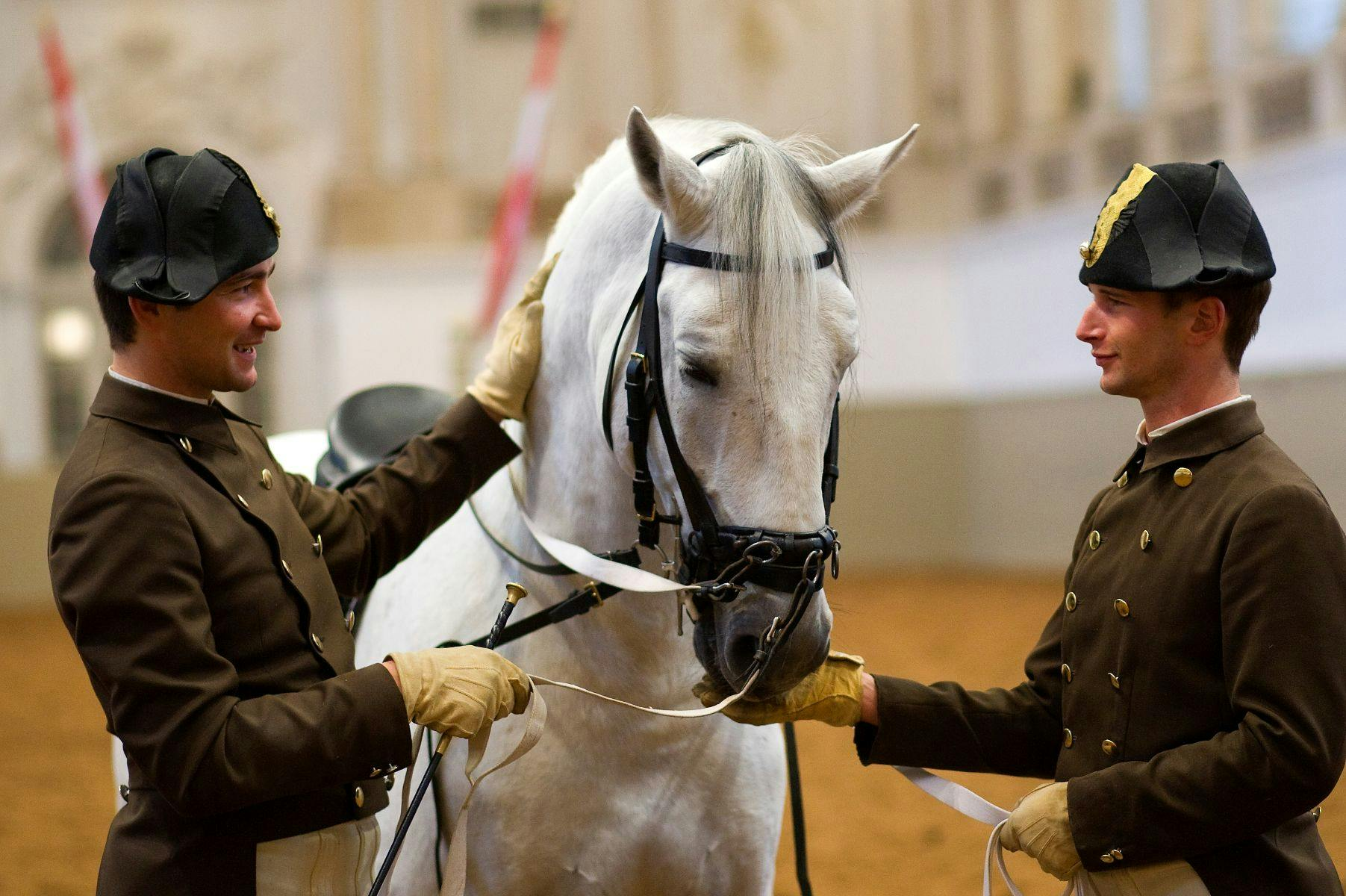Horse Training at the Spanish Riding School - Photo 1 of 6