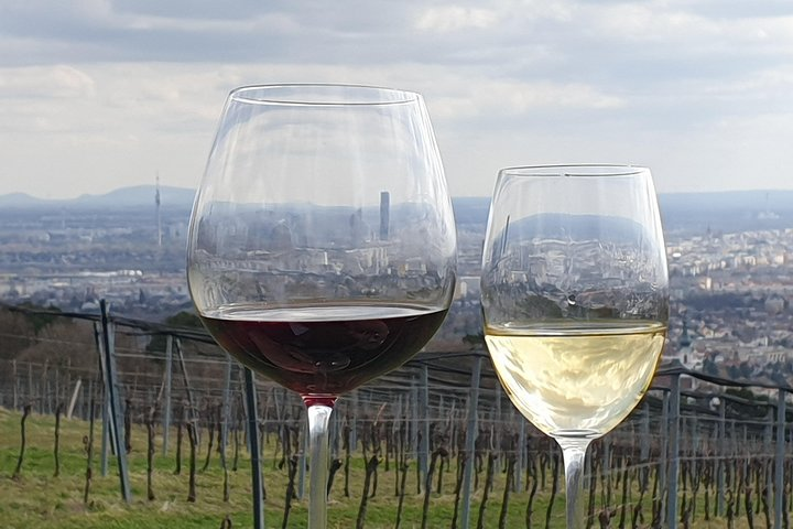 A nice view of the city