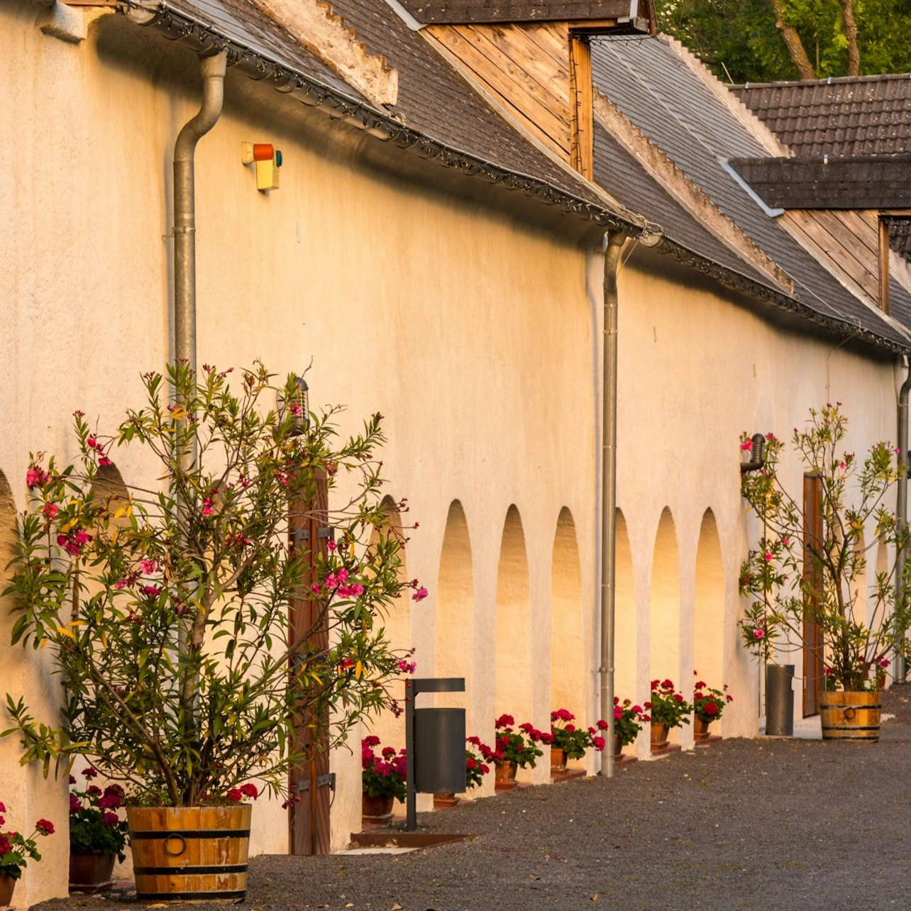 Lackenbach Palace Museum: Entry Ticket + Guided Tour - Photo 1 of 5