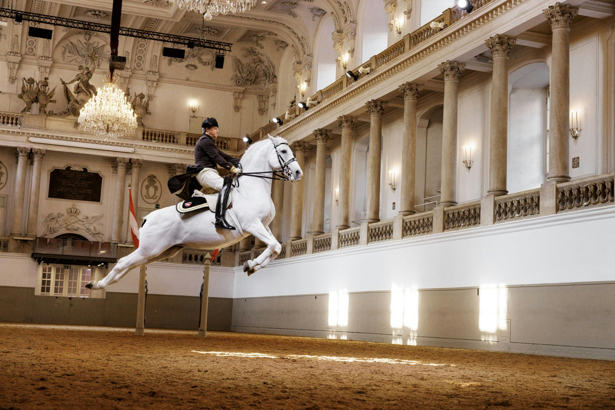 Lipizzaner Performance at the Spanish Riding School - Photo 1 of 7