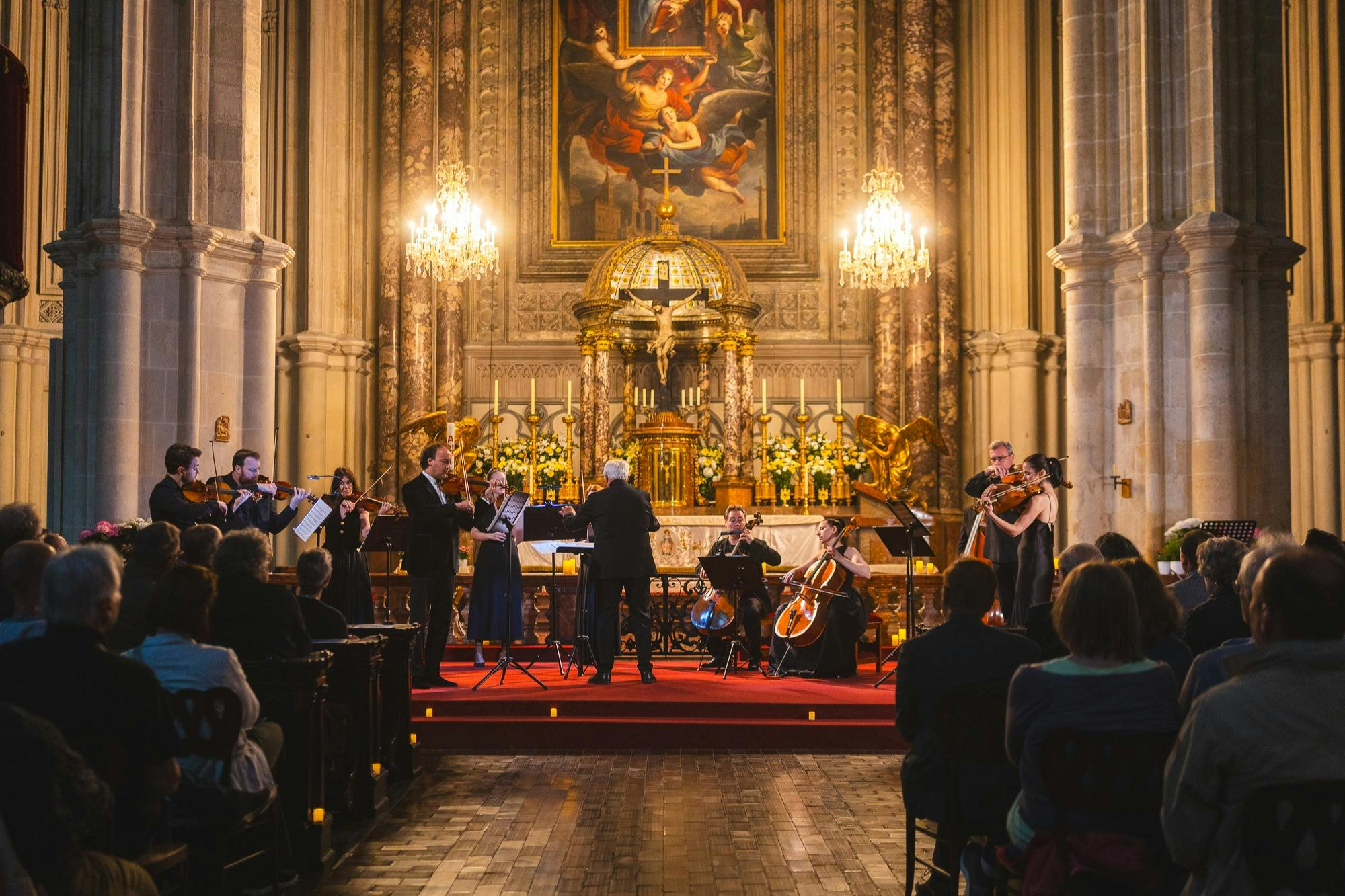 Minoritenkirche Vienna: Advent, Christmas & New Year Classical Concerts - Photo 1 of 7