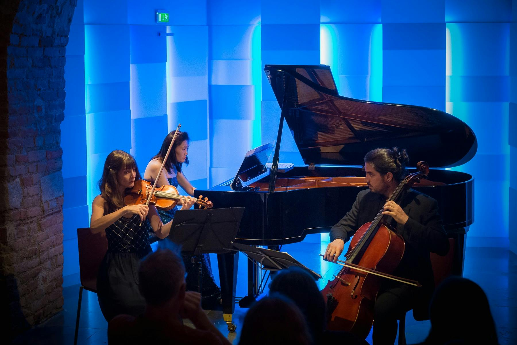 Mozarthaus Vienna: Entry Ticket + Wiener Ensemble Evening Classic Concert - Photo 1 of 7