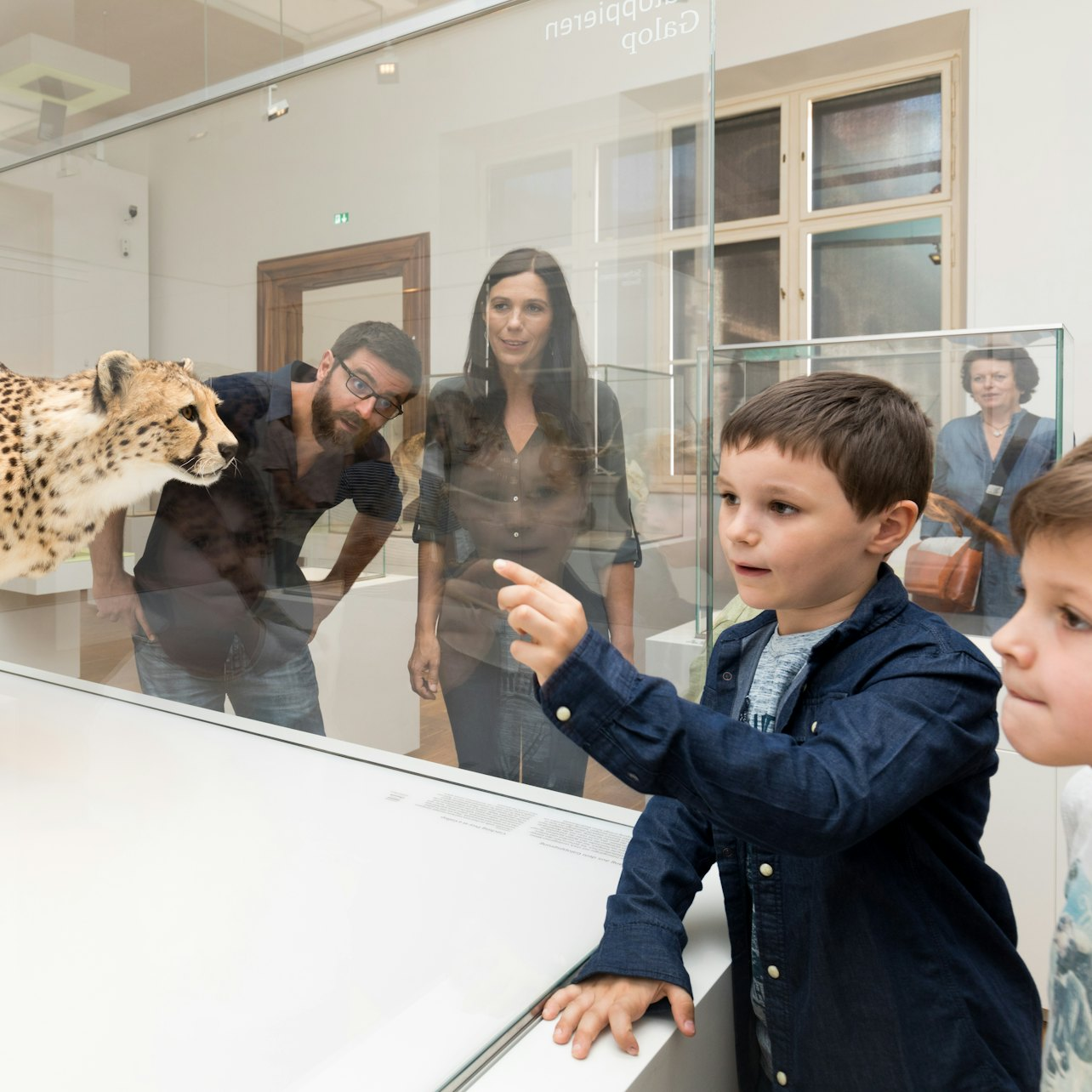 Natural History Museum Graz - Joanneumsviertel - Photo 1 of 1