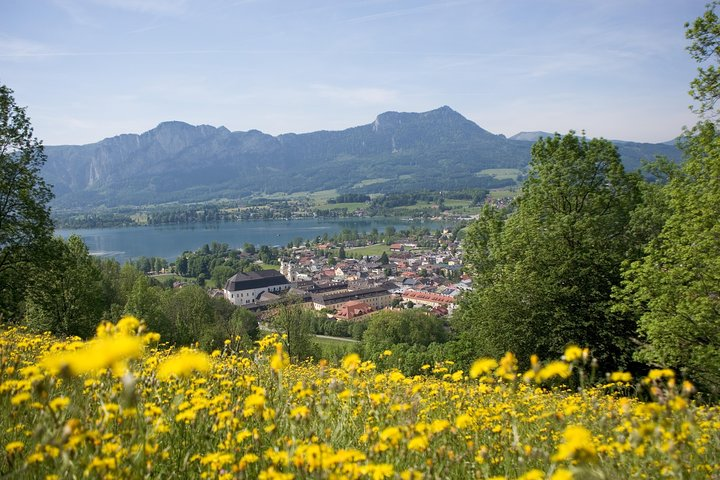 Picturesque Salzkammergut Region  - Photo 1 of 12