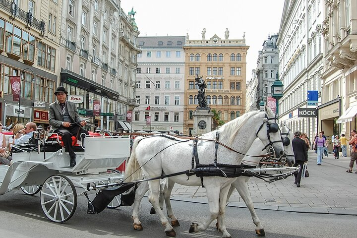 Private Tour of Vienna - Sightseeing, Food & Culture with a local - Photo 1 of 9