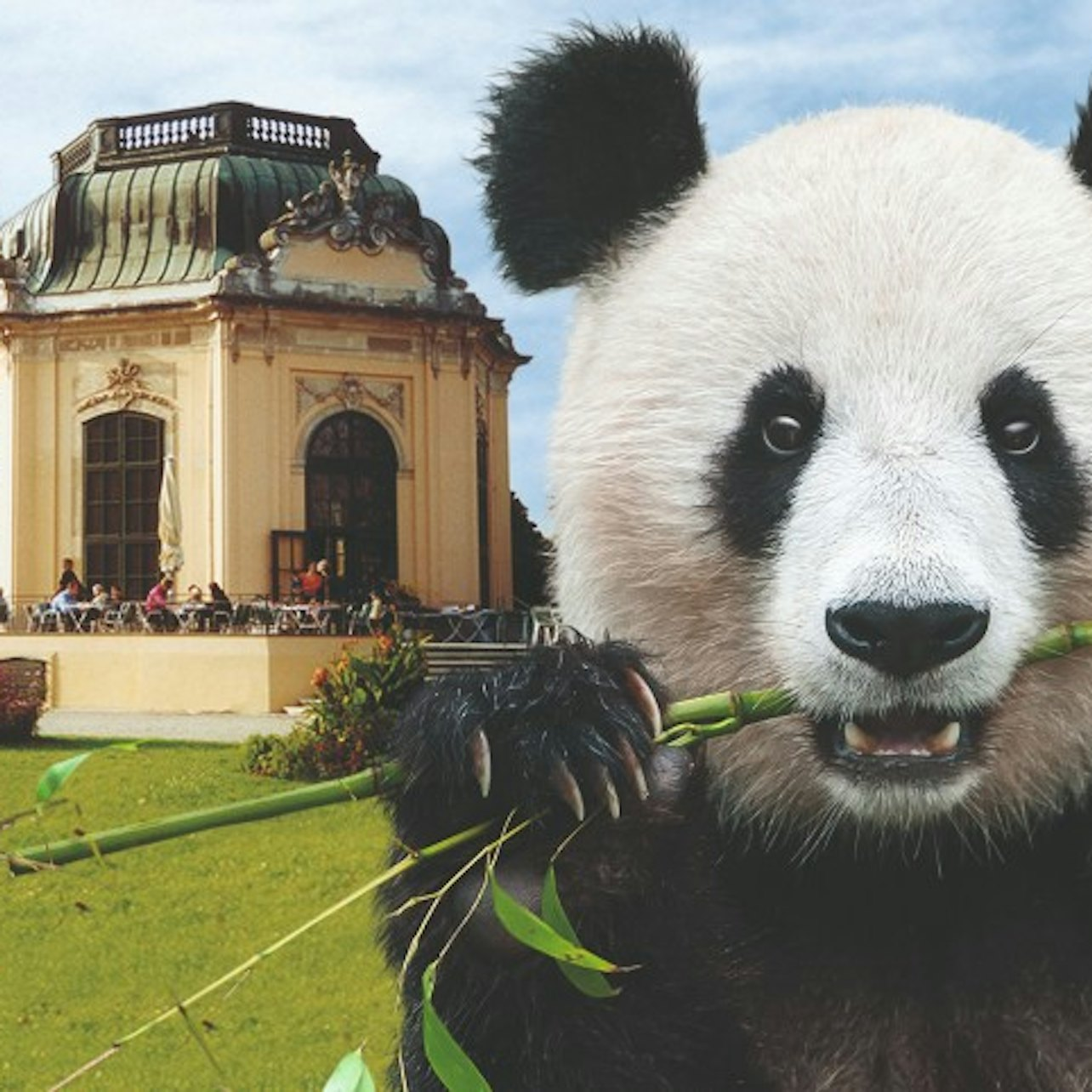 Schönbrunn Zoo: Skip The Line Admission Ticket - Photo 1 of 7