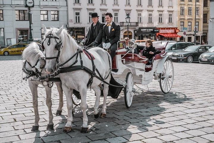 Experience the charm of Vienna as a horse-drawn carriage glides through historic streets offering delightful culinary treats and sparkling wine all while soaking in iconic city sights.