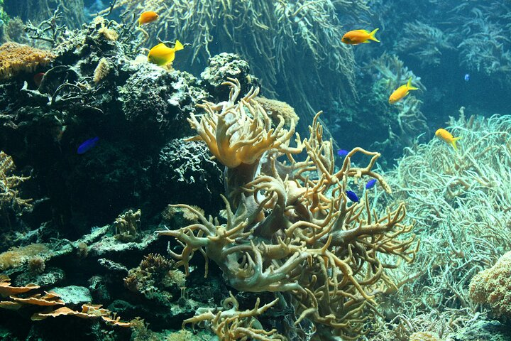 Flexible Private Transport to Schönbrunn Zoo Vienna - Photo 1 of 9