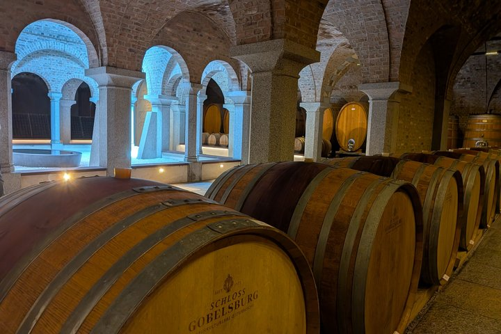 Private Wine Day: 2000 Years of Austrian Wine in Wachau & Kapmtal - Photo 1 of 25