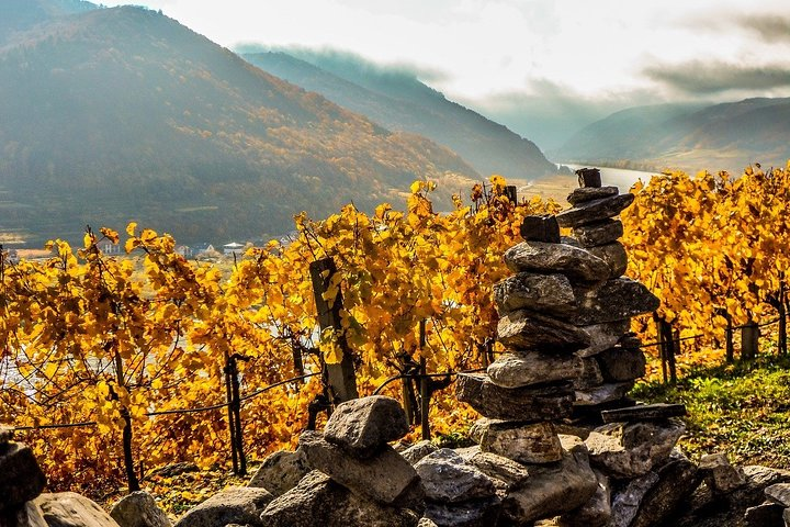 Wachau with a difference - Photo 1 of 7