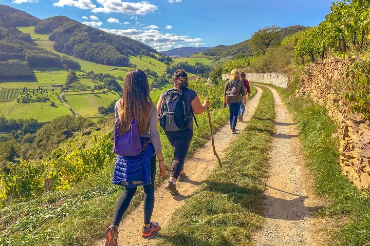 Wachau World Heritage Hike - Photo 1 of 18