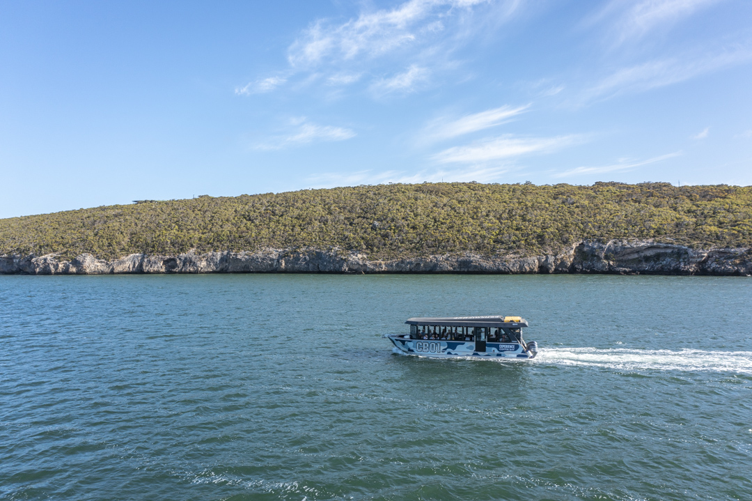 1-Day Coffin Bay Tour - PRIVATE TAILORED EXPERIENCE - Photo 1 of 5