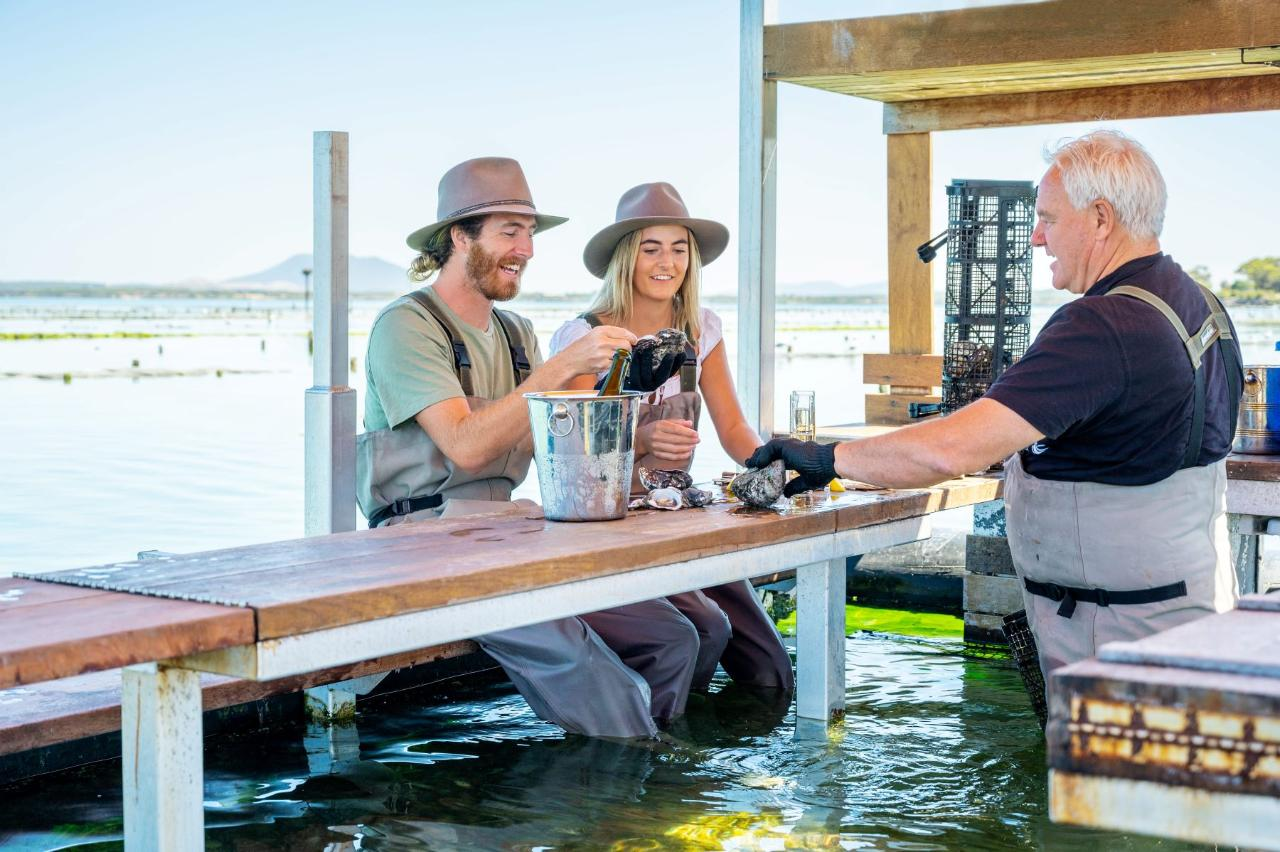 1-Day Port Lincoln & Coffin Bay Tour - Photo 1 of 8