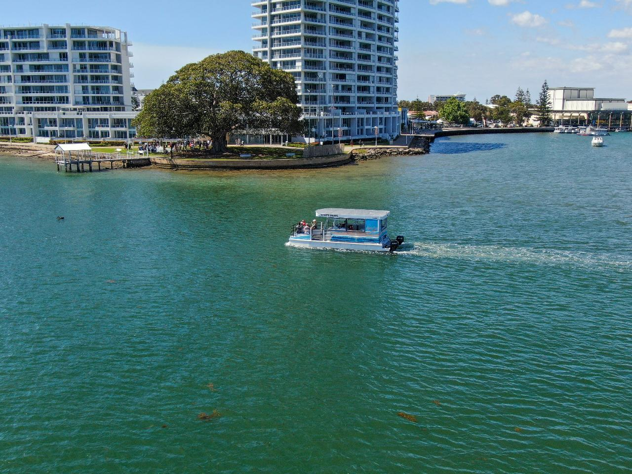 1 Hour Deluxe Scenic Dolphin Cruise - Photo 1 of 1