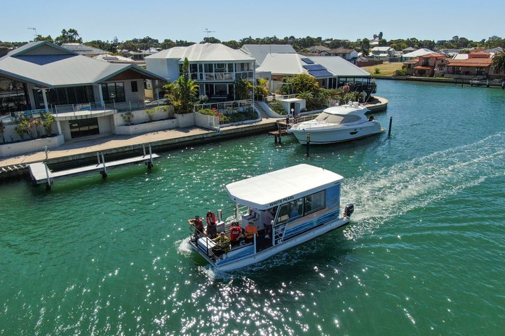 1 Hour Deluxe Scenic Dolphin Cruise - Photo 1 of 15