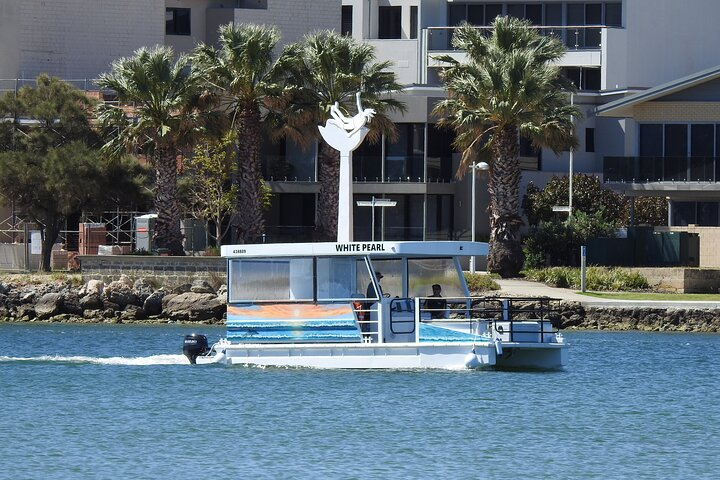 1 Hour Deluxe Scenic Dolphin Cruise - Photo 1 of 8