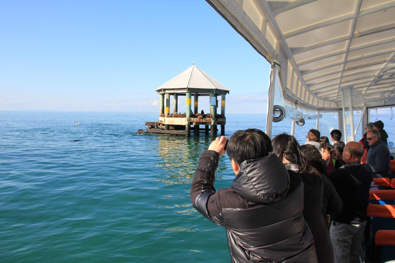 1.5 hour Scenic Wildlife Adventure Cruise - Photo 1 of 6