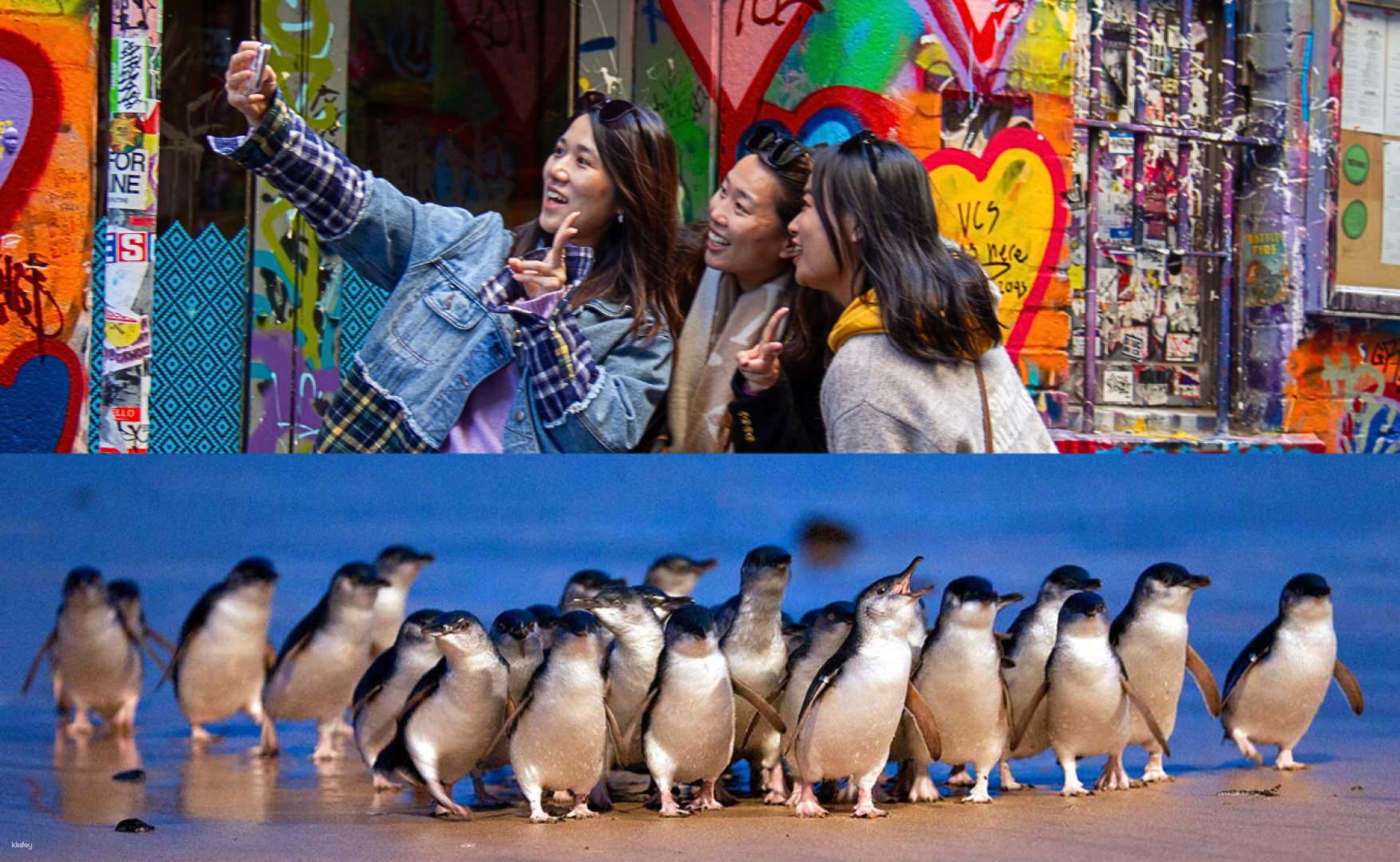 Melbourne Magic: City Discovery and Penguin Parade Tour - Photo 1 of 10