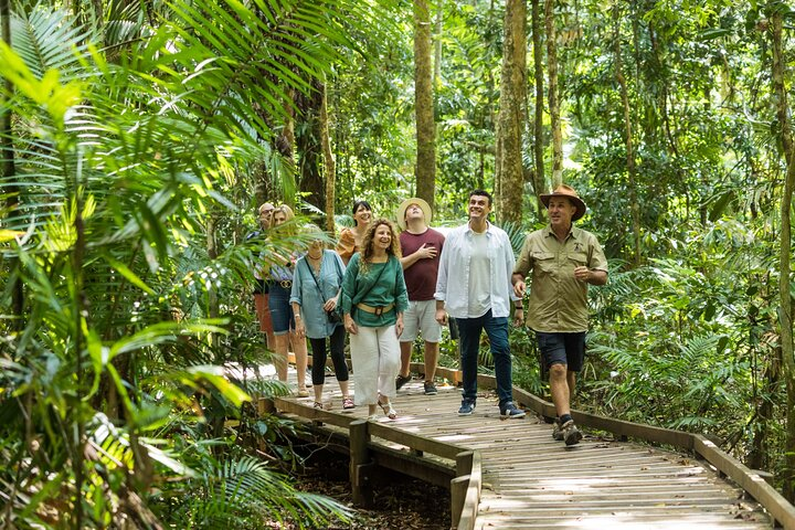 Boardwalk Tour Rainforest