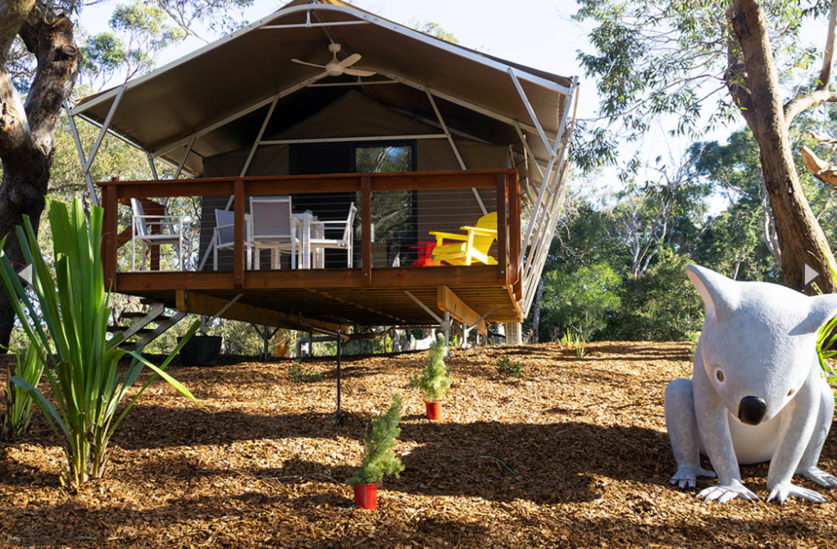 3 Day 2 Nights Coastal Walks & Koala Talks Experience at Port Stephens Koala Sanctuary | New South Wales - Photo 1 of 10