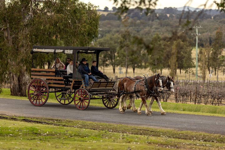 Experience the charm of the Hunter Valley on a horse-drawn carriage gliding through picturesque vineyards savoring exquisite wines cheese and chocolate in a delightful three-hour adventure.