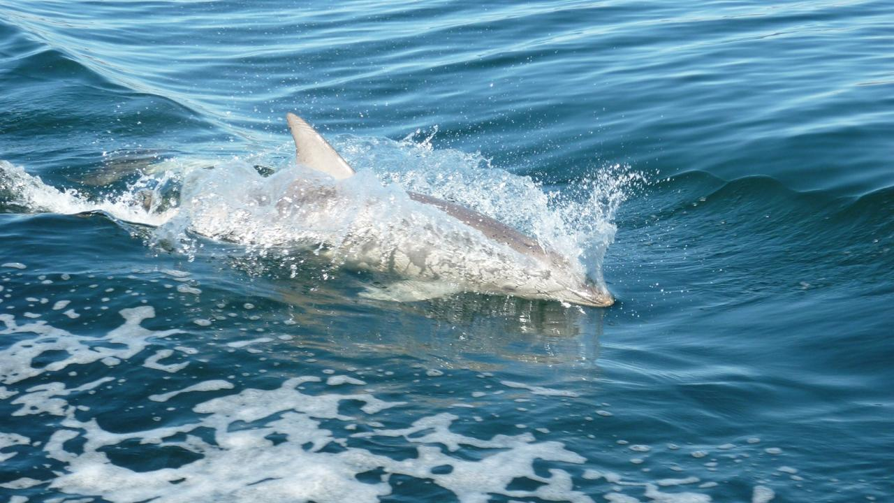 3-Day Southern Yorke Peninsula Coastal Wilderness Adventure - Photo 1 of 12