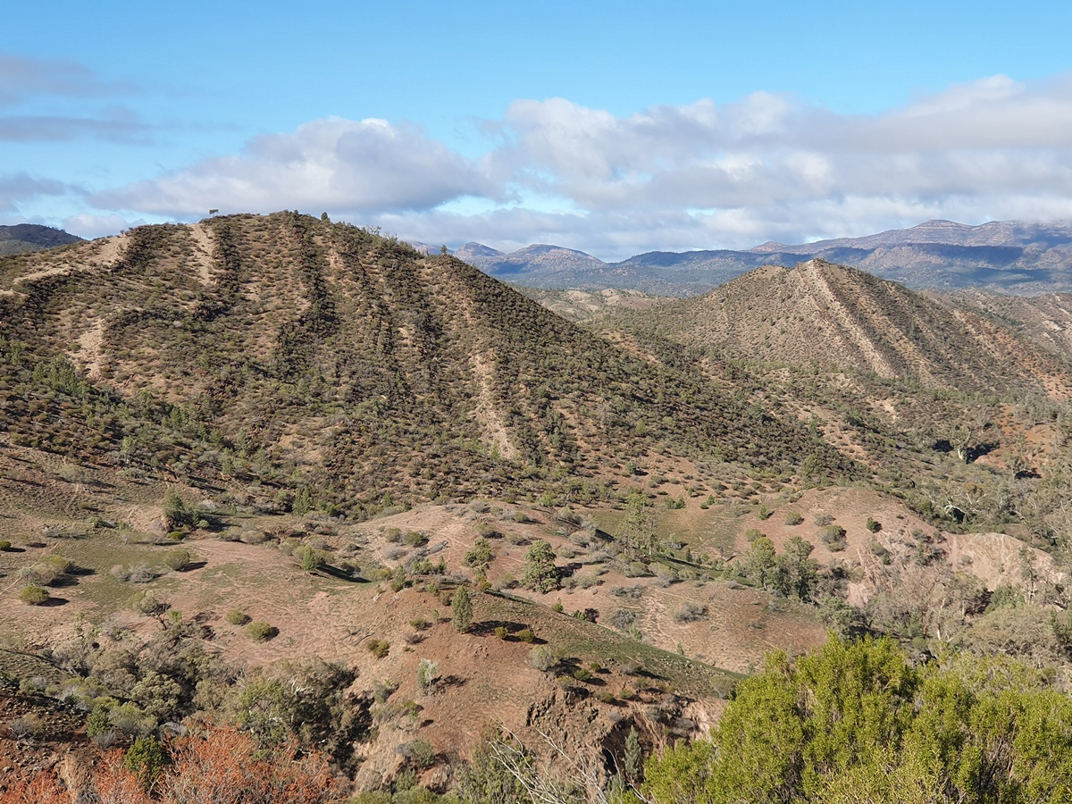 4-Day Flinders Ranges & Outback Small Group Eco Safari - Photo 1 of 11