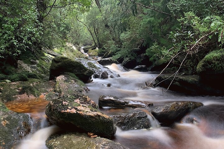 Mt Field National Park, Wilderness.