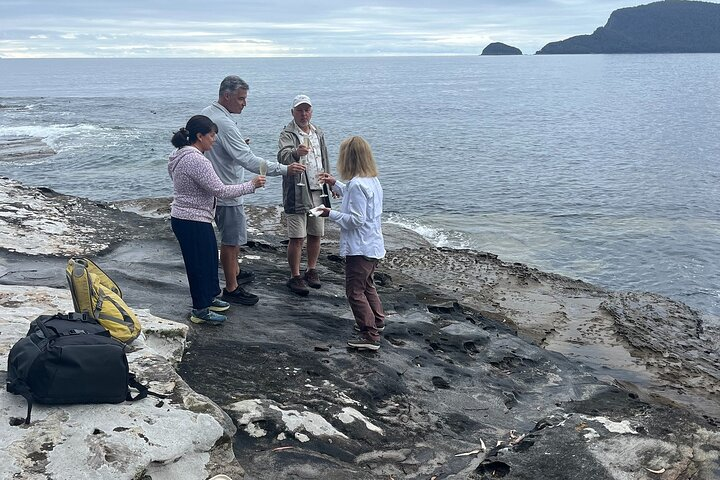 5-Day Tasmanian Private Tour - Photo 1 of 18