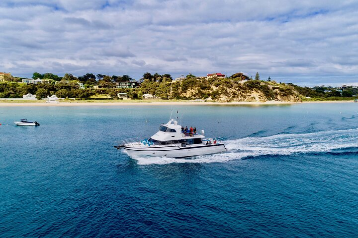 Experience serene waters as your luxury boat glides along the stunning coastline. Witness playful seals seabirds and the possibility of Bottlenose Dolphins all under expert guidance.