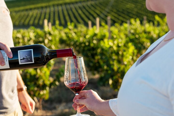 A Truly Barossan Wine Experience - High-End Private Day Tour  - Photo 1 of 7