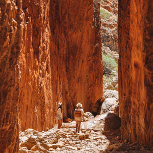 Alice Springs Highlights & Nature Escape: Standley Chasm & Simpsons Gap(A3) - Photo 1 of 2