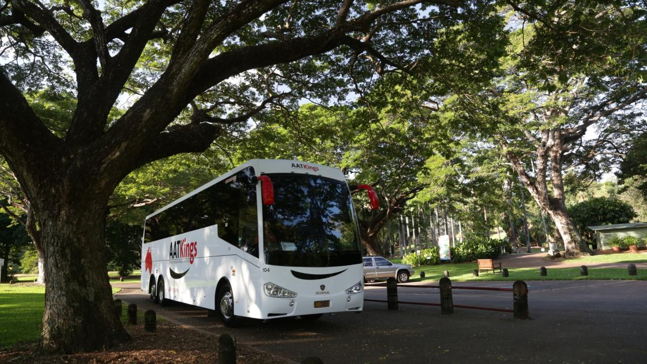 Darwin City Sights & Jumping Crocs (D27) - Photo 1 of 2