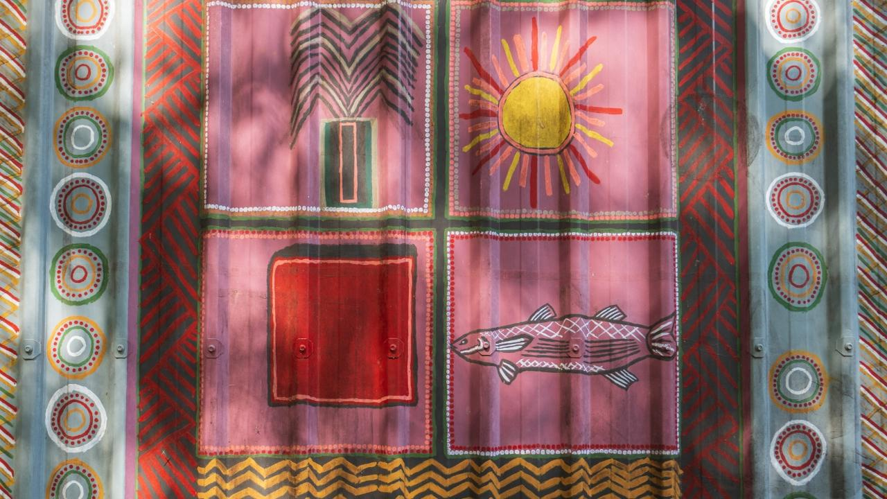 Tiwi Islands Aboriginal Cultural Tour (TFER) - Photo 1 of 2