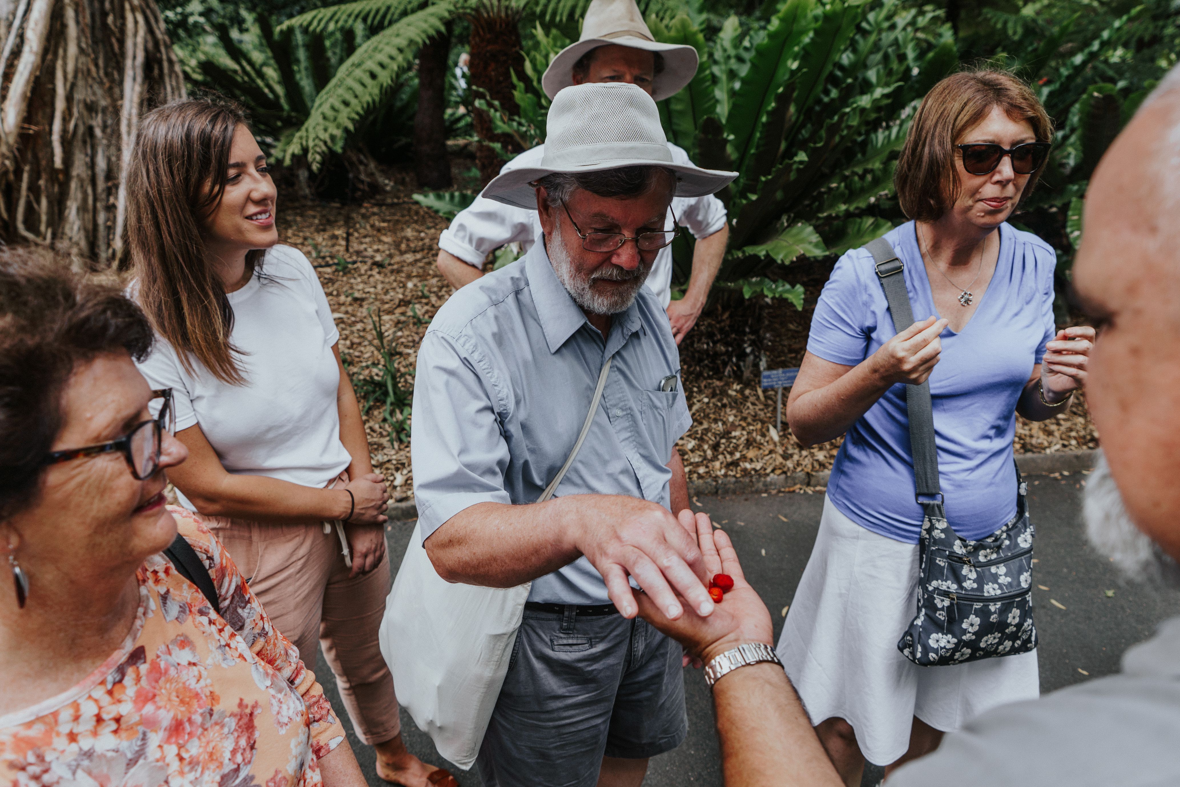 Discover the rich tradition of Indigenous bush foods with a First Nations guide as travelers engage in hands-on experiences and savor unique flavors amidst the lush surroundings of the Botanic Gardens.