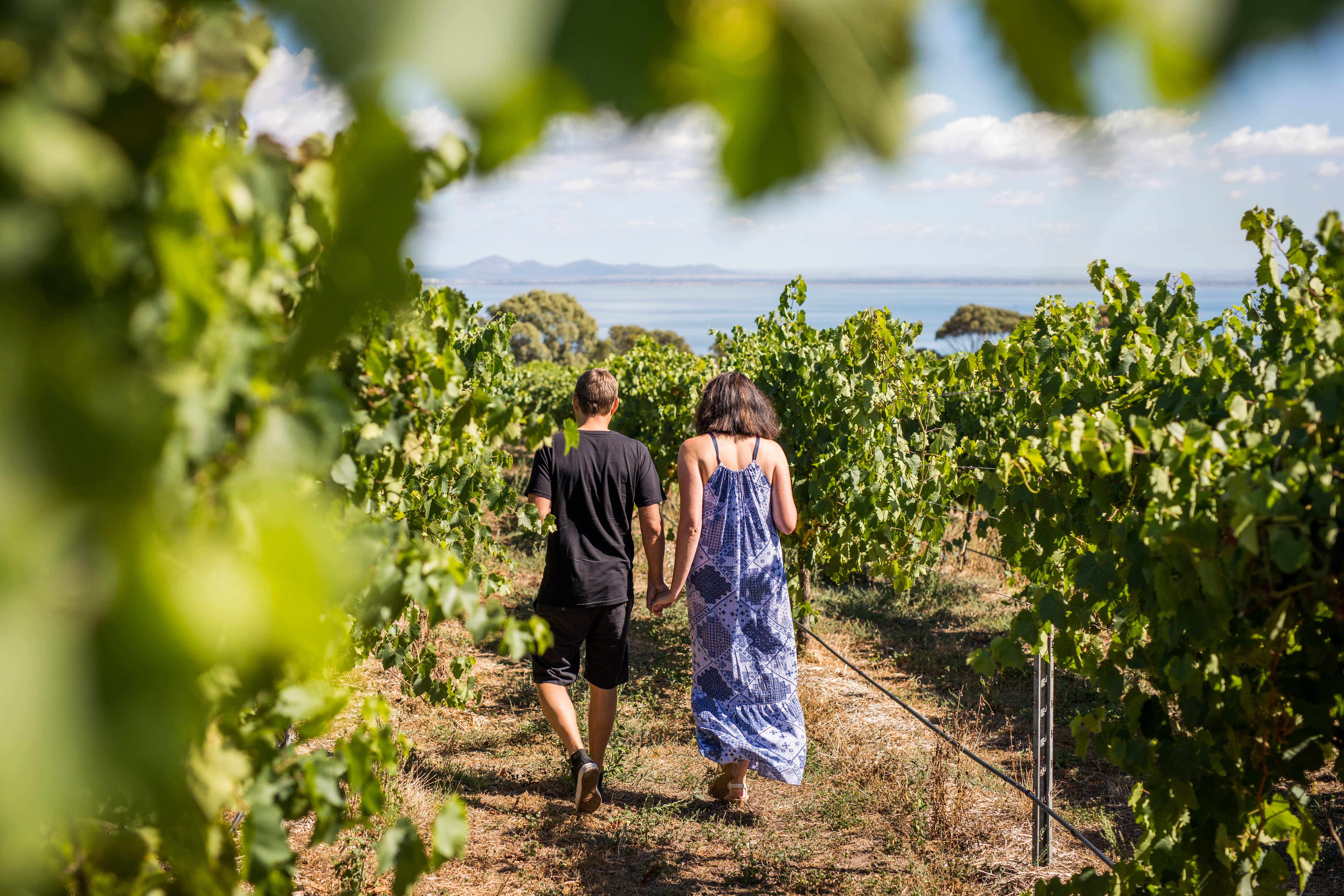 Wander through lush vineyards with stunning coastal views tasting the essence of Melbourne’s local food scene while creating unforgettable memories on a delightful culinary adventure.